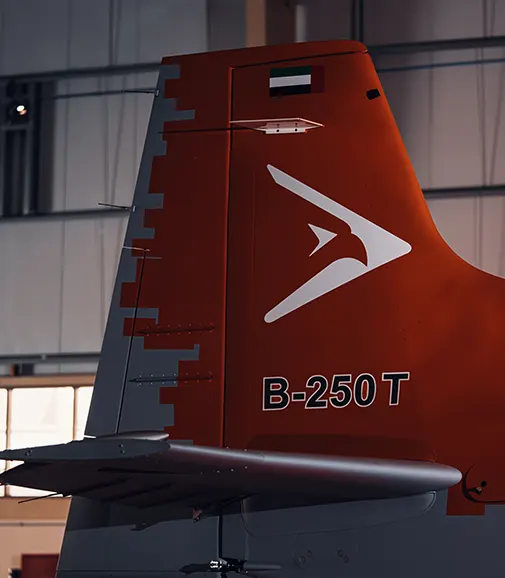 Flight Training Device (FTD)